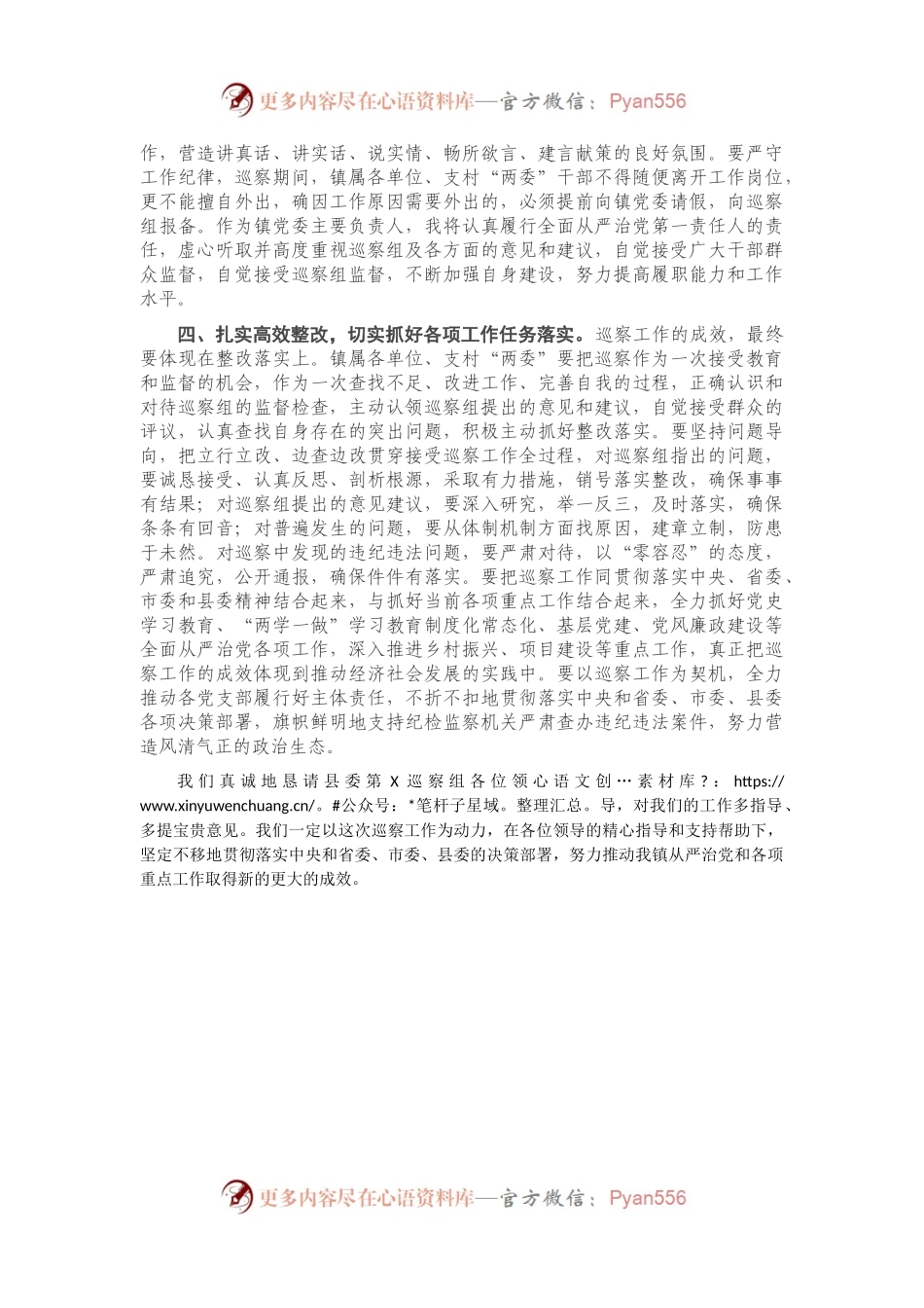 20210406-巡察组进驻动员会表态发言.docx_第2页
