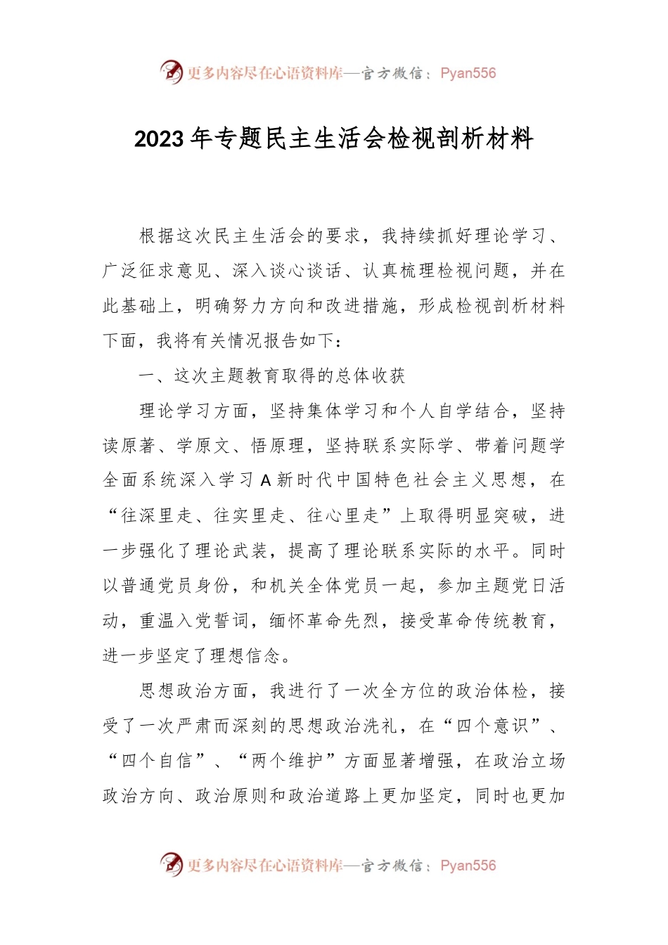 2023年专题民主生活会检视 剖析材料.docx_第1页