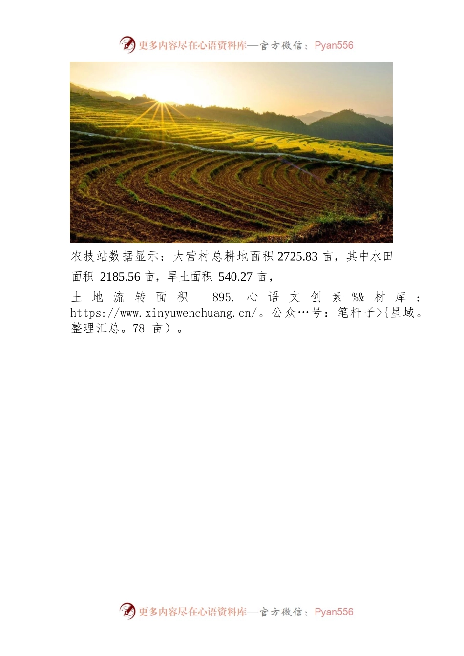 2021年XX县XX镇大营村 粮食生产调研报告.docx_第2页
