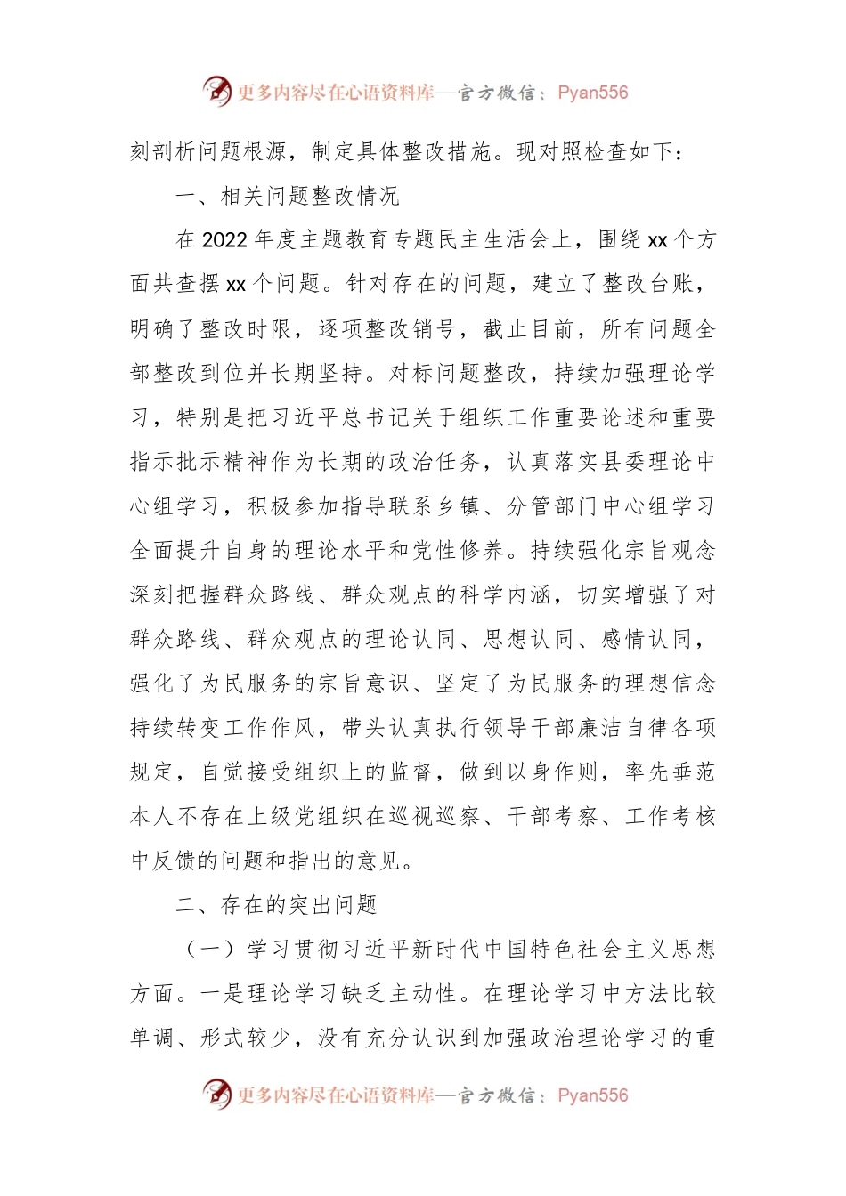 2023年主题教育专题民主生活会个人对照检查 组织部长（践行宗旨等6个方面+案例剖析+上年度整改+个人事项）.docx_第2页