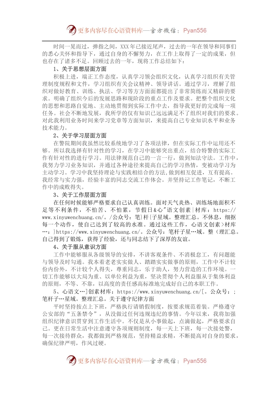 2021年公安年终个人工作总结（二）.docx_第1页