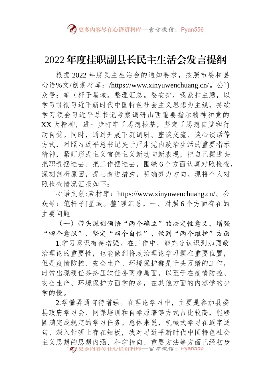 2022年度挂职副县长民主生活会发言提纲.docx_第1页