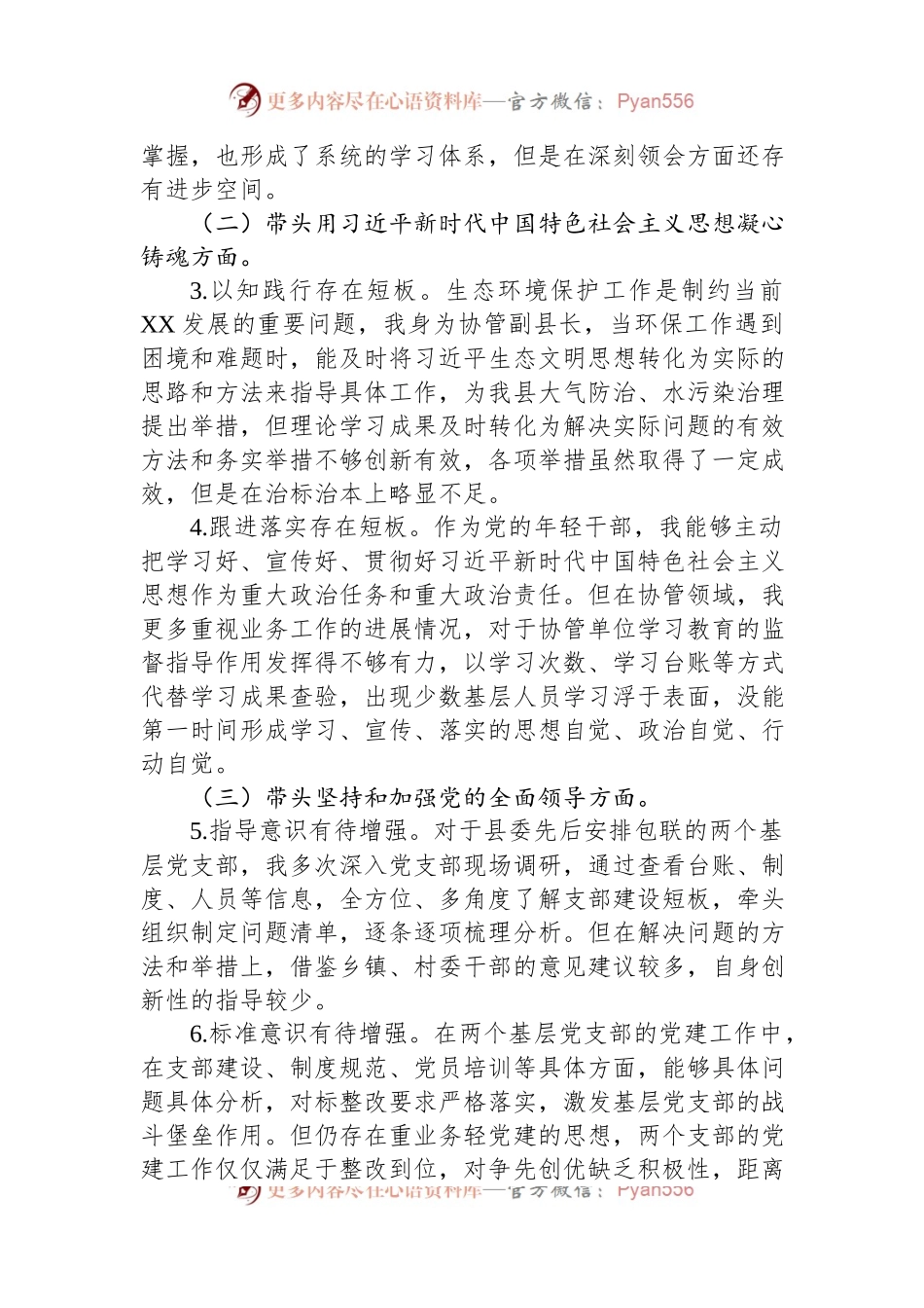 2022年度挂职副县长民主生活会发言提纲.docx_第2页