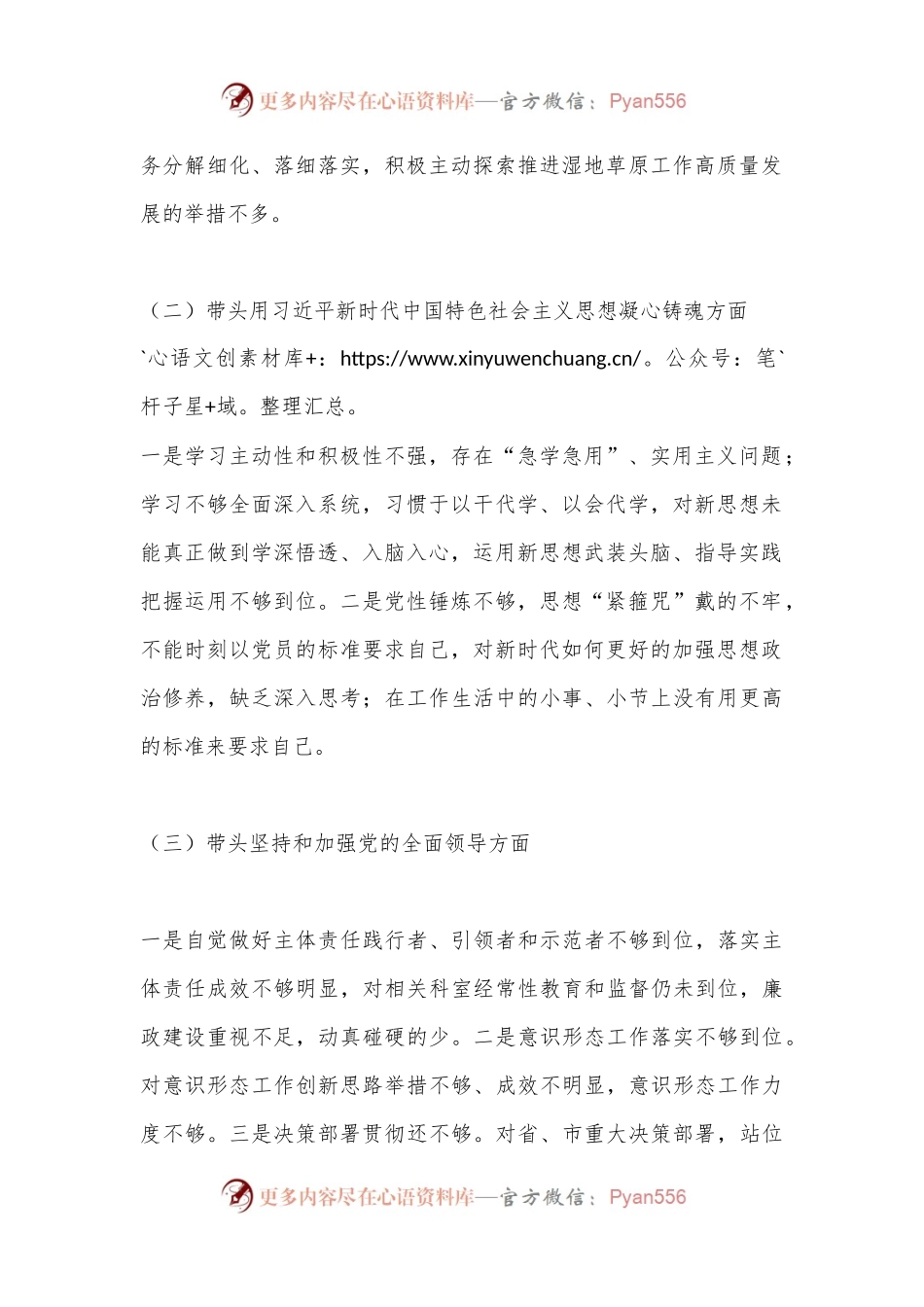 2022年民主生活会个人对照检查材料发言提纲（全文3668字）.docx_第2页