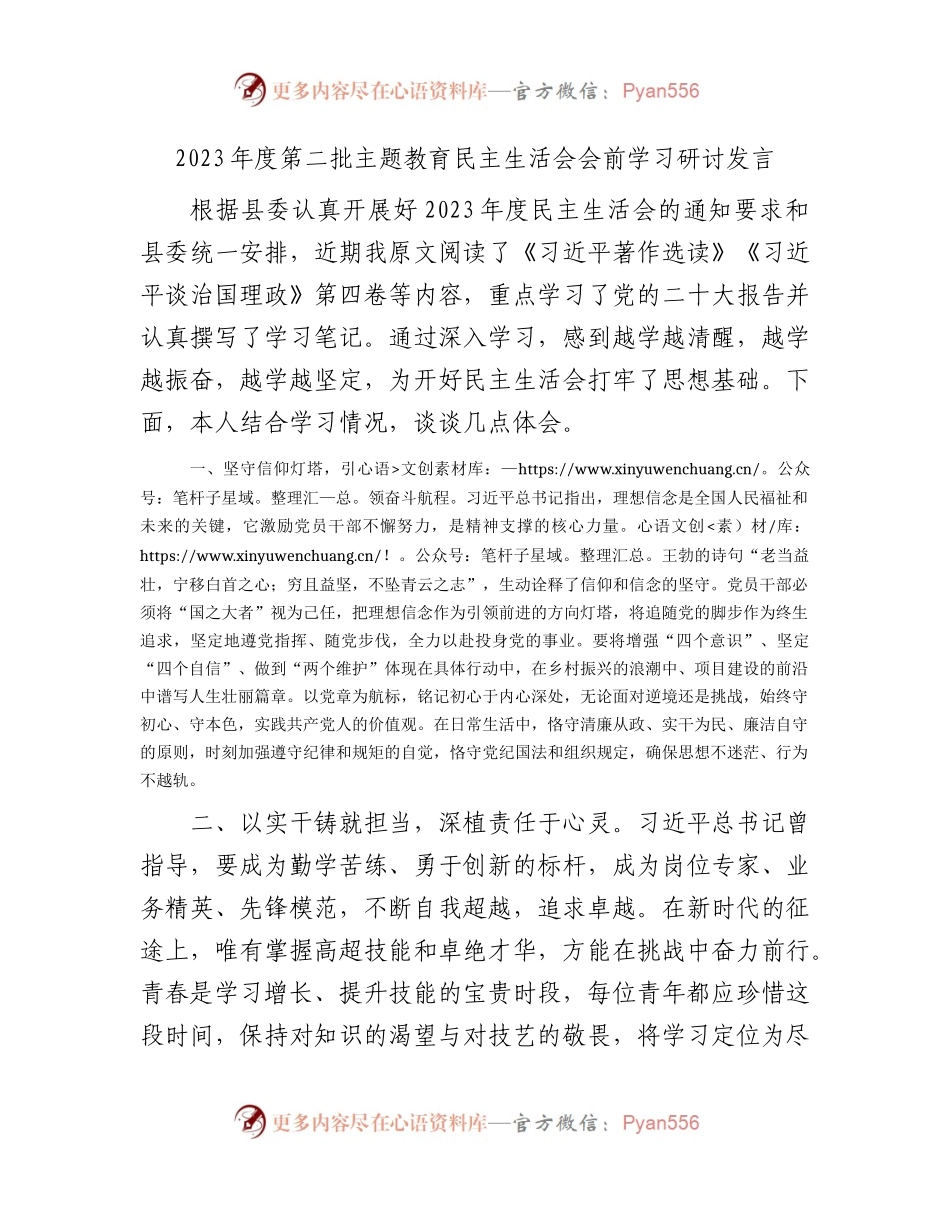 2023年主题教育民主生活会会前学习研讨发言.docx_第1页