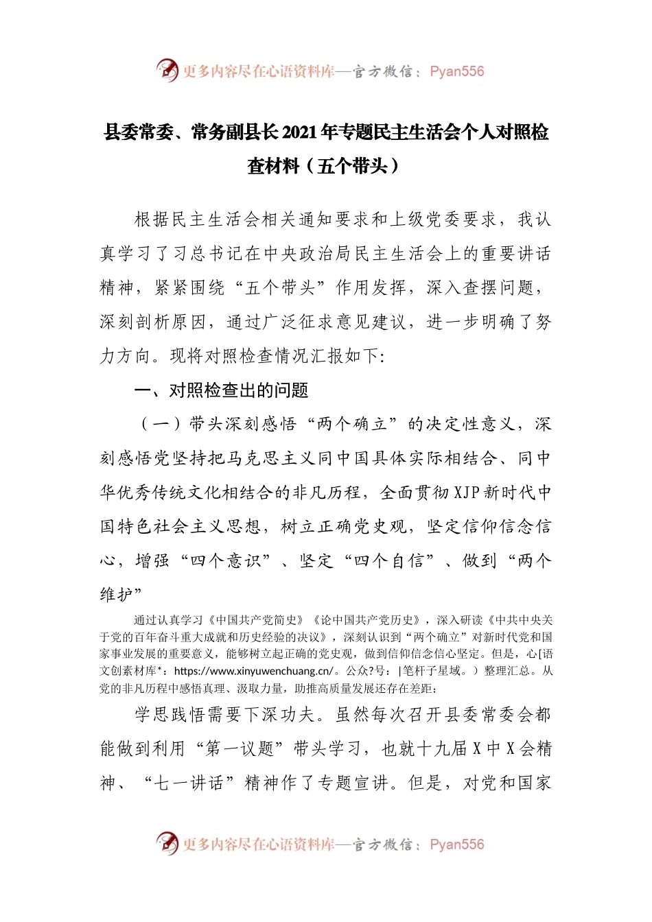1县委常委、常务副县长2021年专题民主生活会个人对照检查材料（五个带头）.docx_第1页