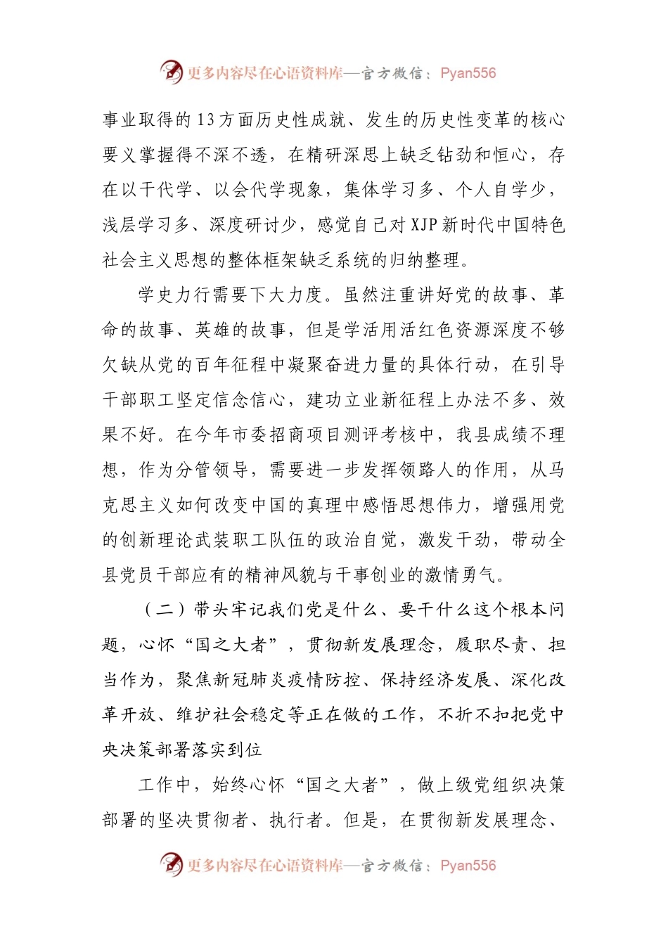 1县委常委、常务副县长2021年专题民主生活会个人对照检查材料（五个带头）.docx_第2页