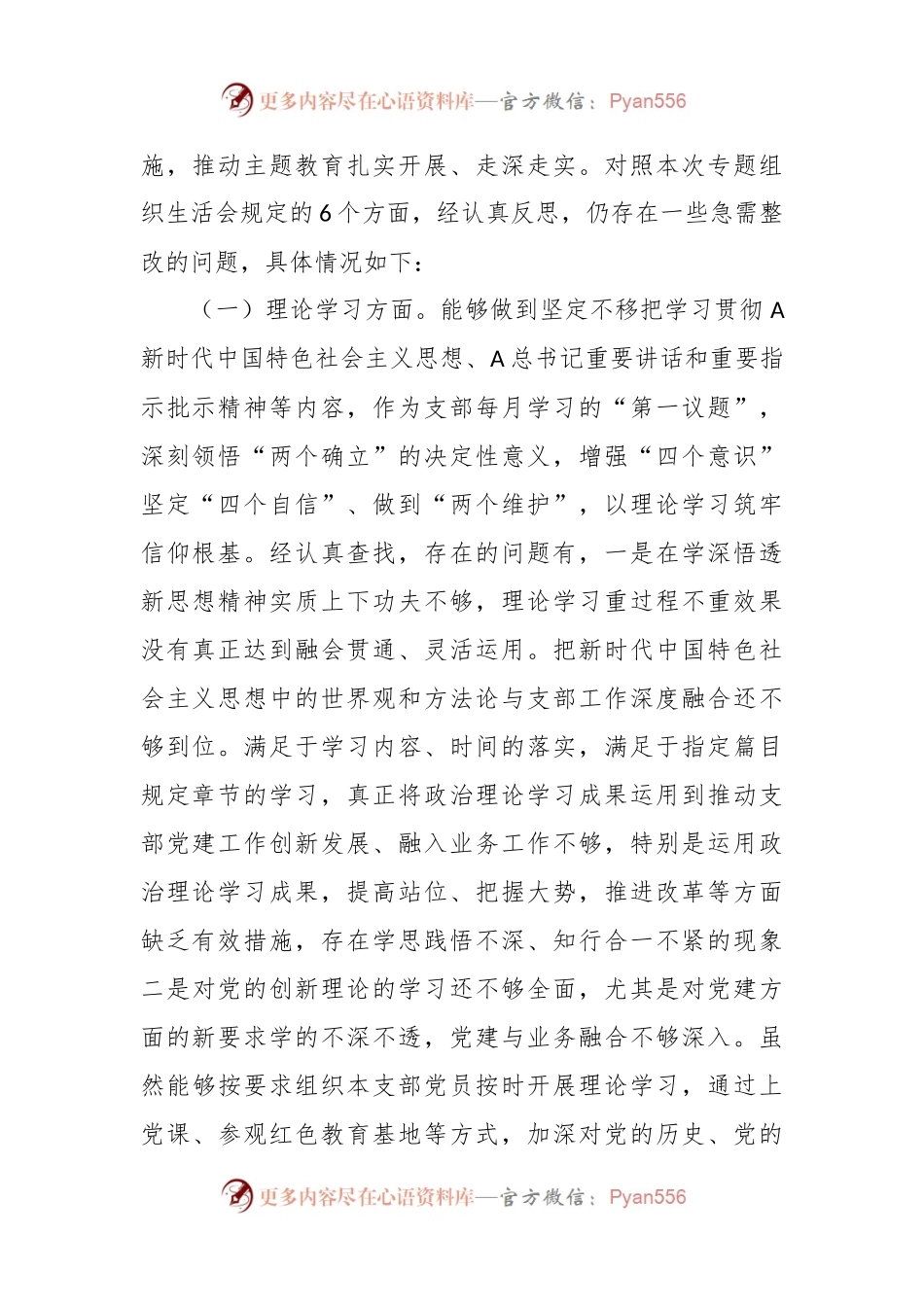 2023年主题教育专题组织生活会 （支部书记）个人发言提纲.docx_第2页