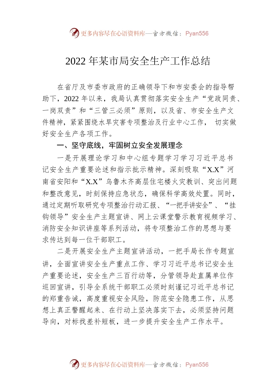2022年度市局安全生产工作总结.docx_第1页
