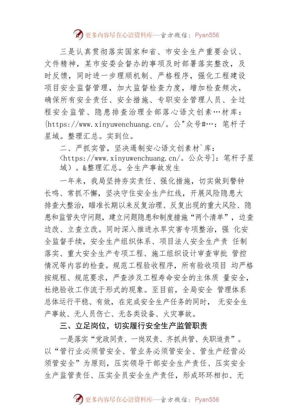2022年度市局安全生产工作总结.docx_第2页