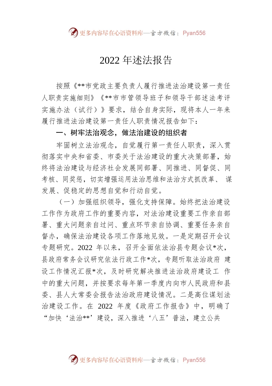 2022年述法报告.docx_第1页