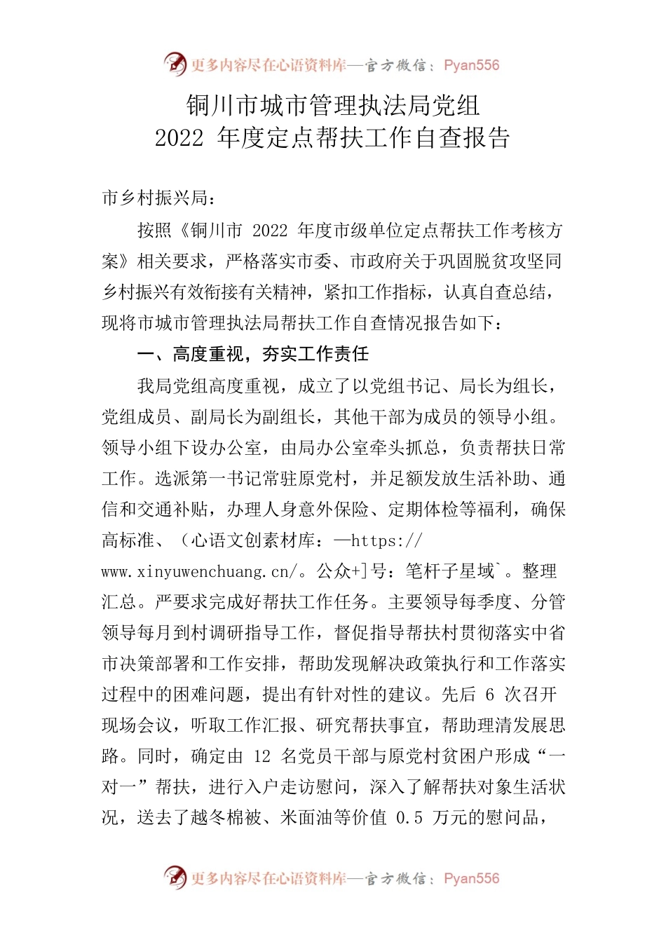 2022年度定点帮扶工作自查报告.docx_第1页