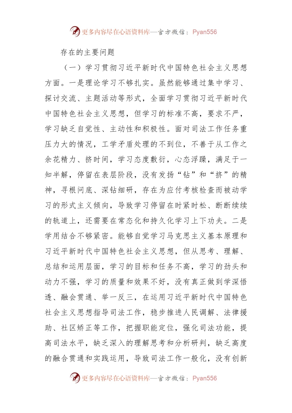 2023年主题教育专题民主生活会个人对照检查 司法系统（践行宗旨等6个方面+案例剖析+上年度整改+个人事项）.docx_第2页