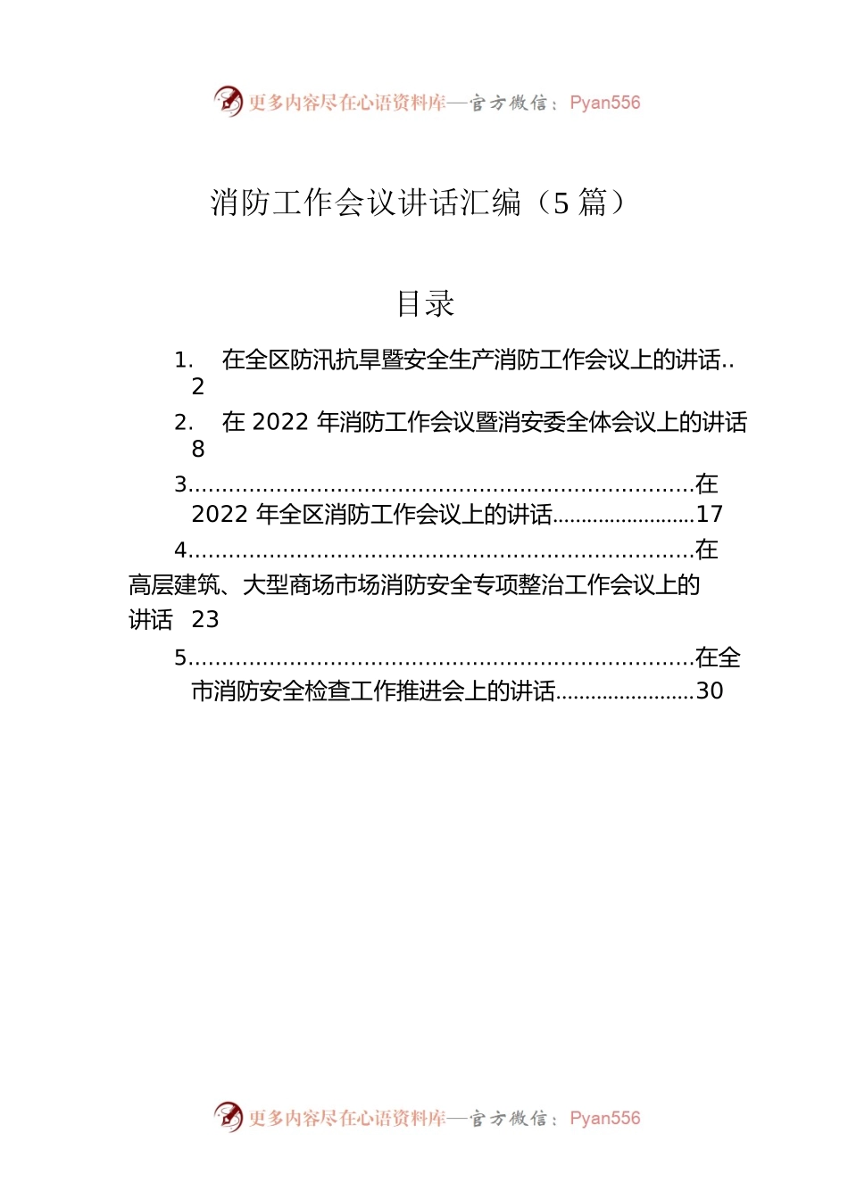 2022年消防工作会议讲话汇编（5篇）.docx_第1页