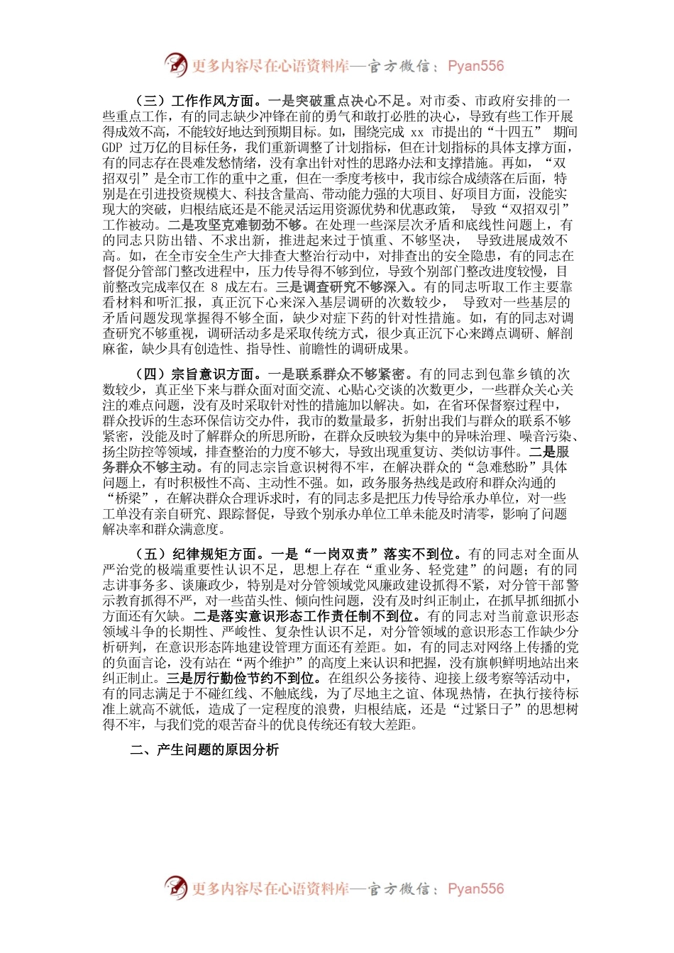 20220101市政府党组专题民主生活会对照检查材料.docx_第2页