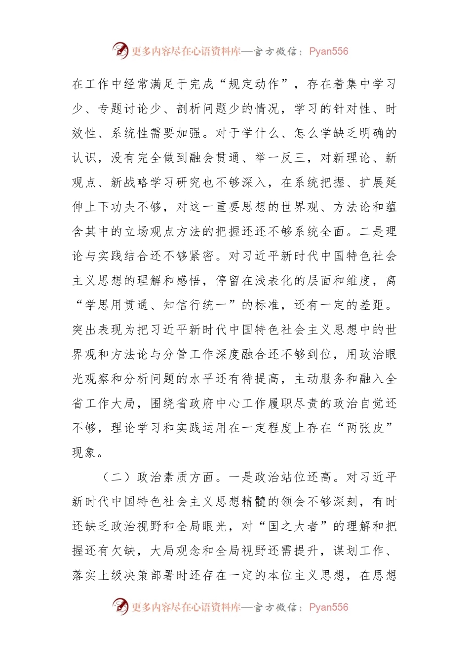 2023年主题教育专题民主生活会个人对照检查发言稿提纲.docx_第2页