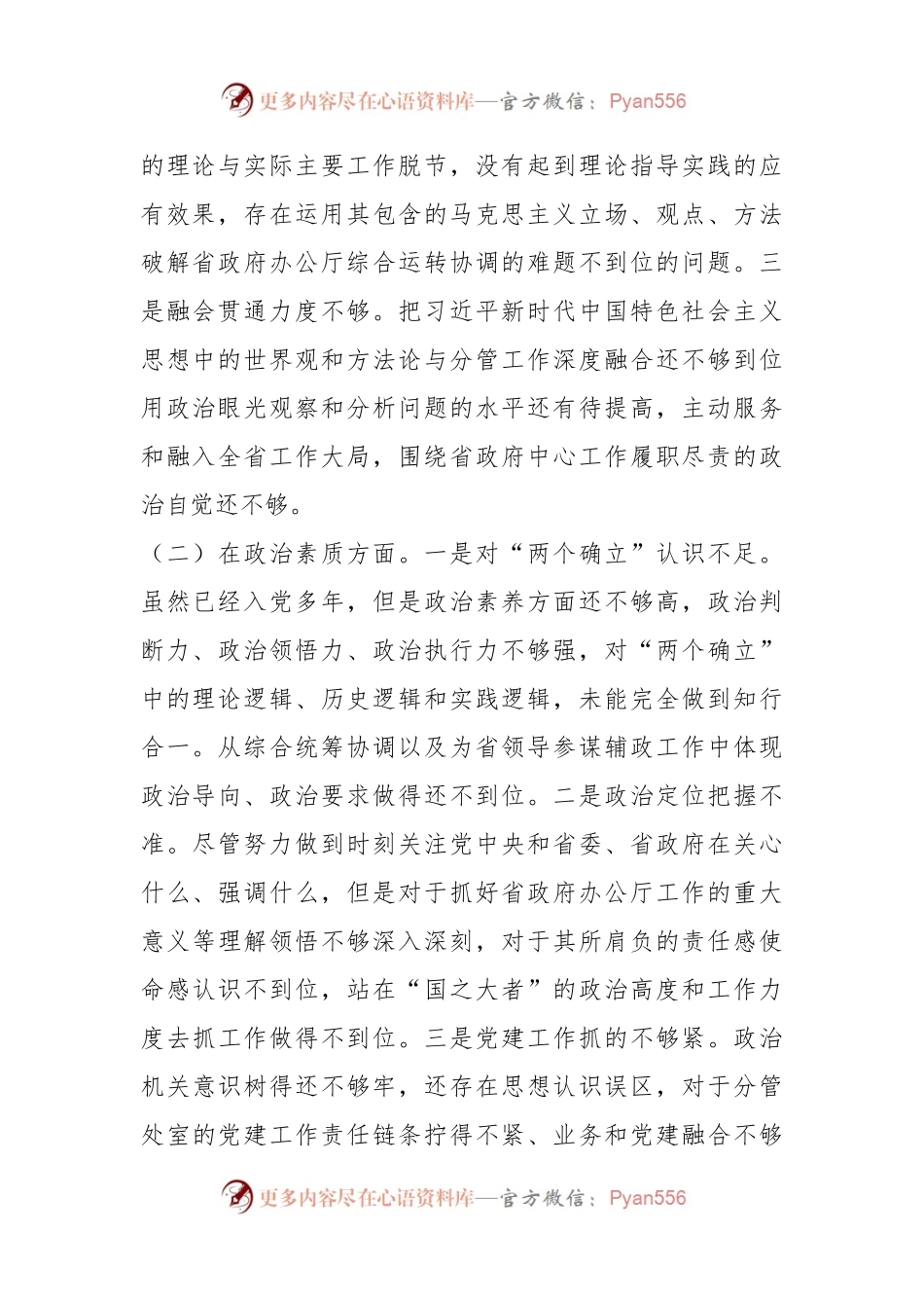 2023年主题教育民主生活会个人对照检查材料 （一）.docx_第2页