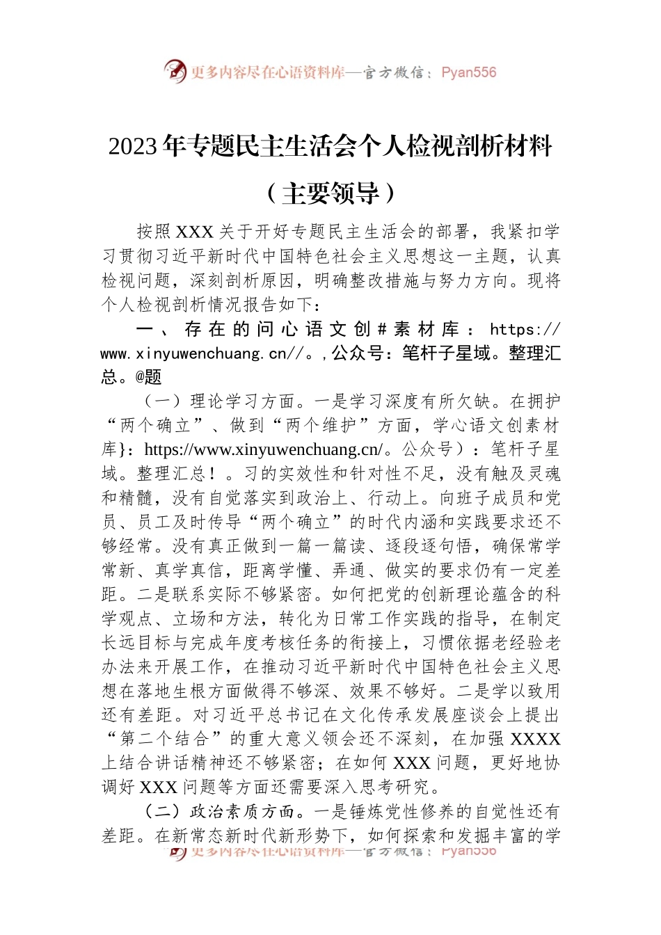 2023年专题民主生活会个人检视剖析材料（主要领导）.docx_第1页