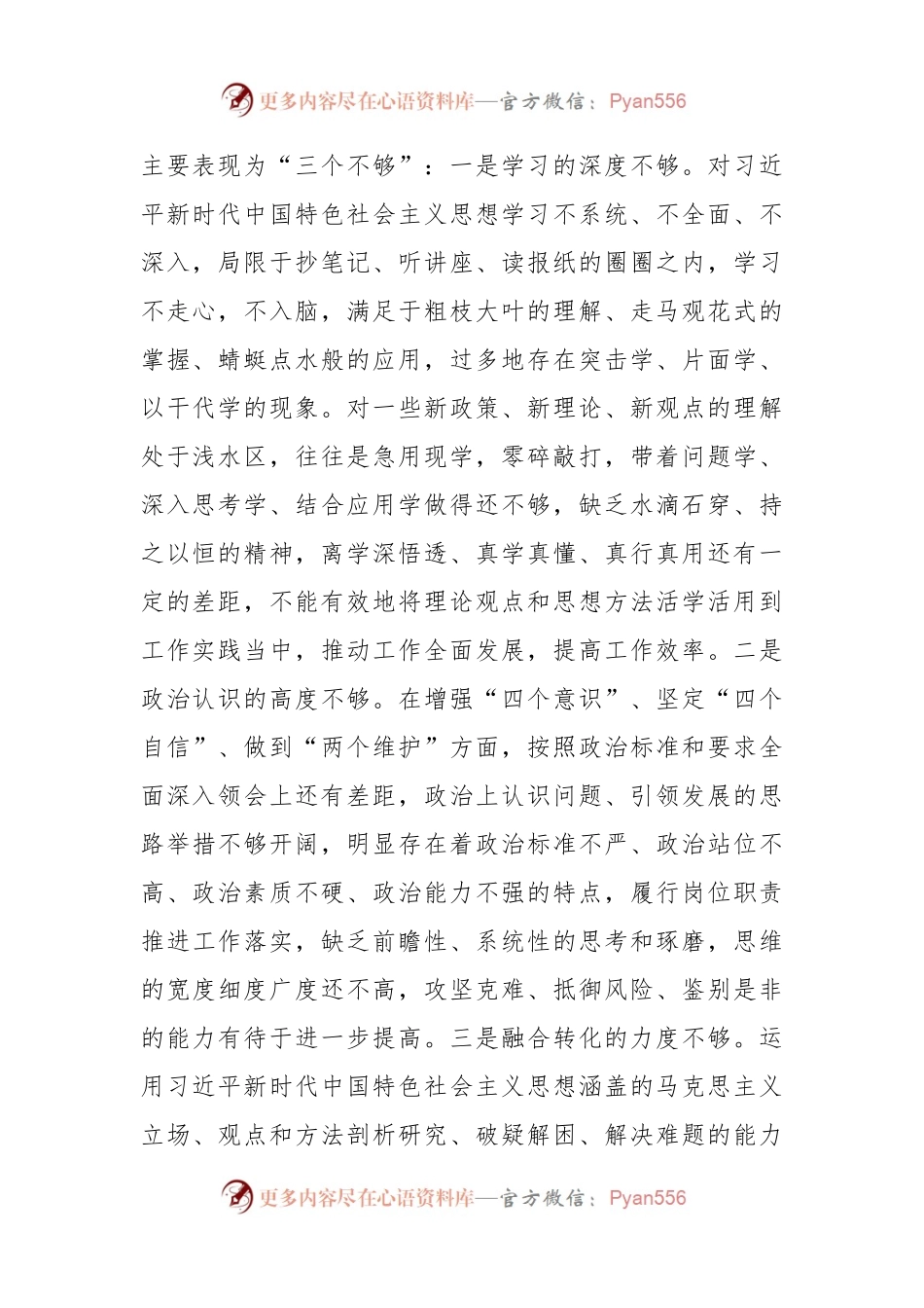 2023年主题教育专题民主生活会个人对照检查 区委书记（践行宗旨等6个方面+案例剖析+上年度整改+个人事项）.docx_第2页