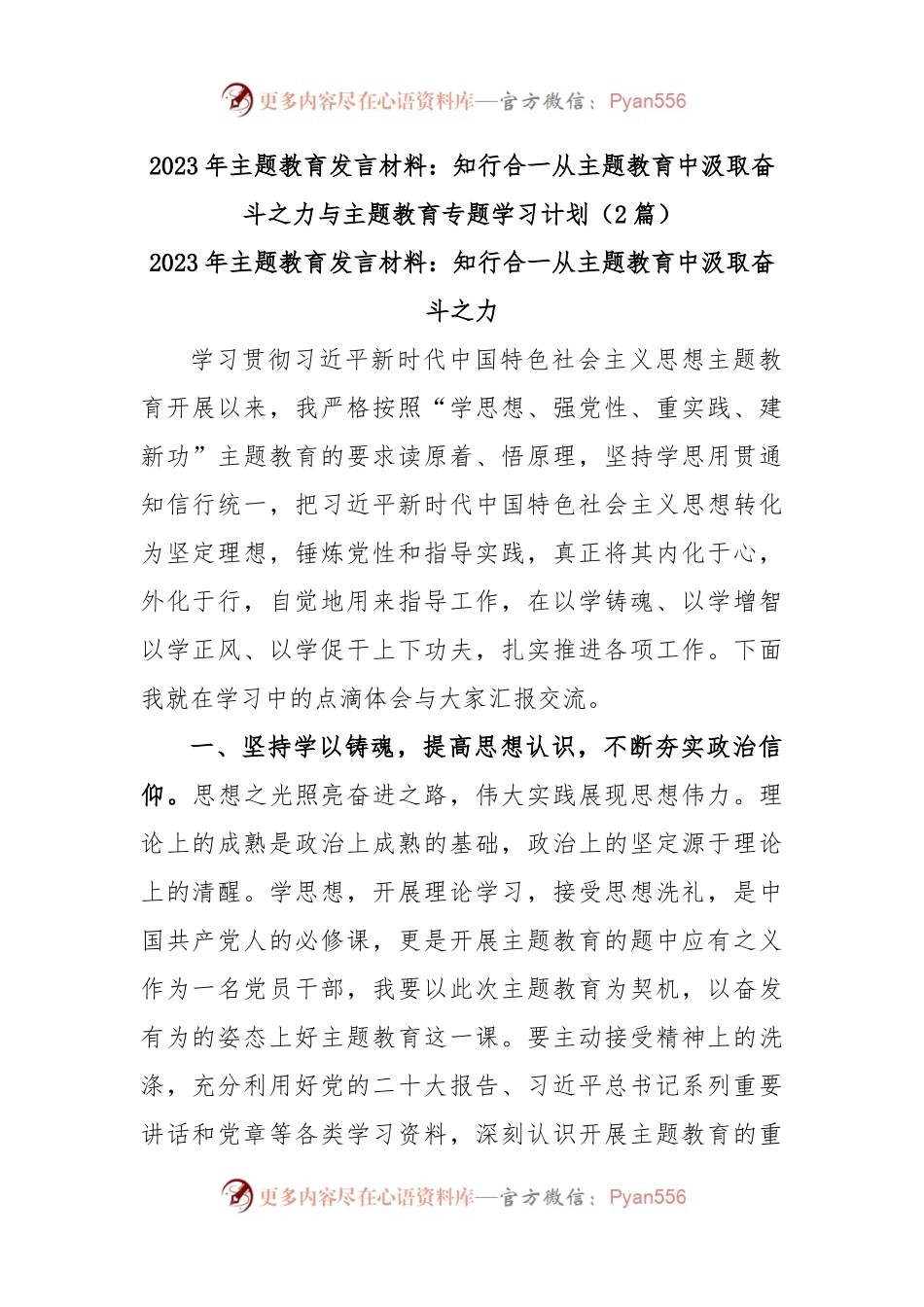 (2篇)2023年主题教育发言材料：知行合一从主题教育中汲取奋斗之力与主题教育专题学习计划.docx_第1页
