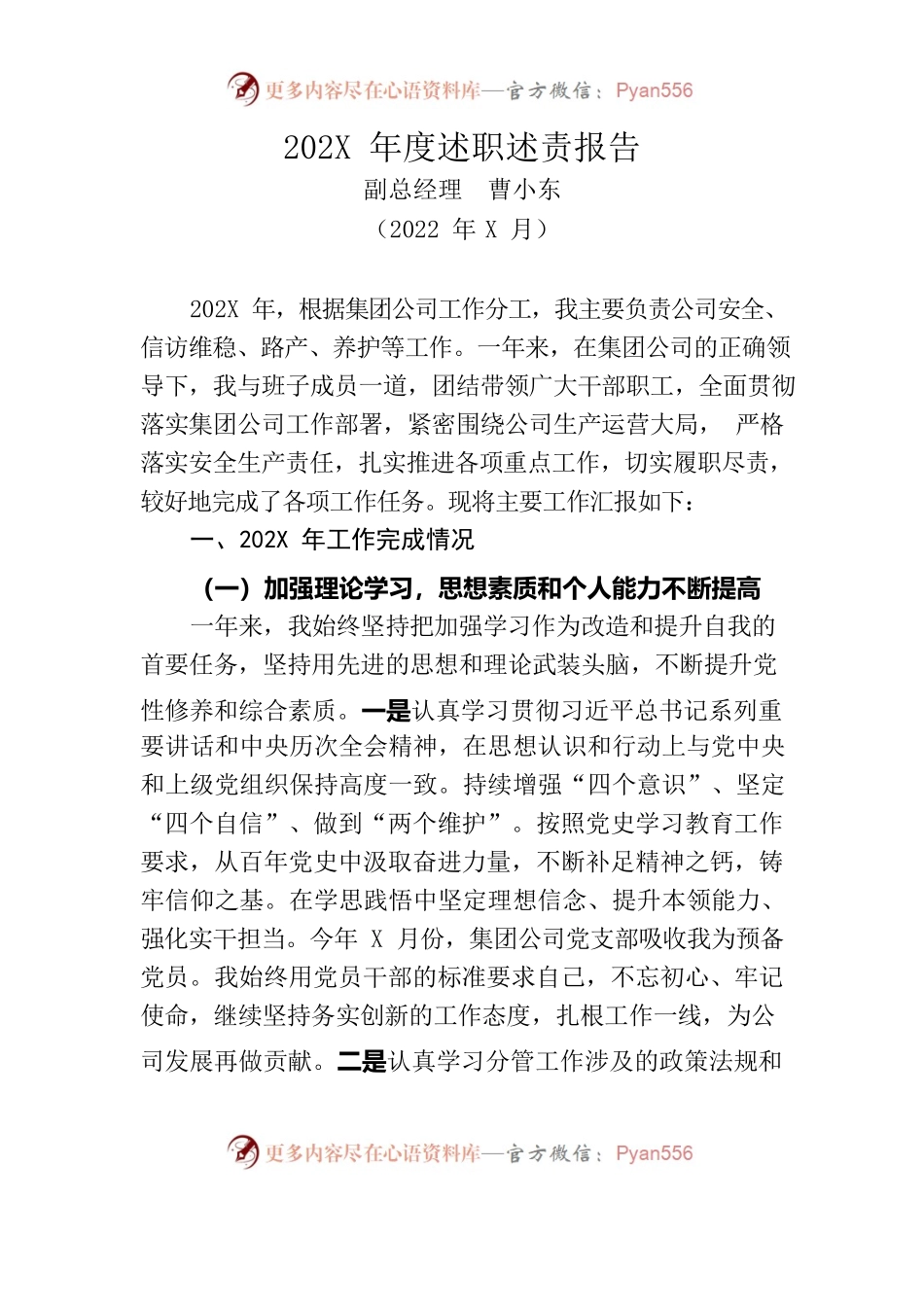 202X年度述职述责报告.docx_第1页