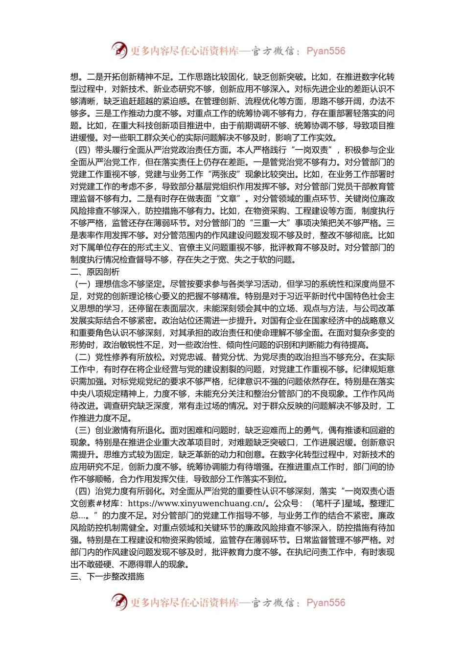 2024年度民主生活会个人对照检查材料（四个带头）.docx_第2页