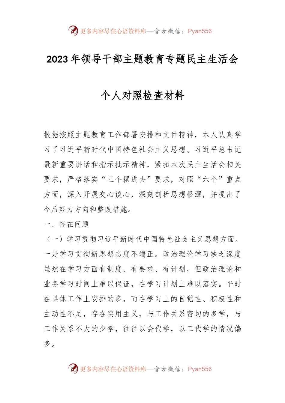 2023年领导干部主题教育专题民主生活会个人对照检查材料.docx_第1页
