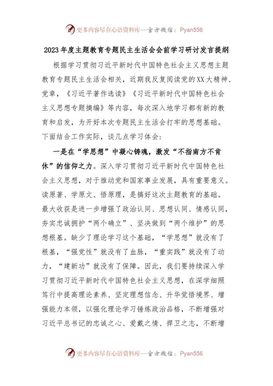 2023年度 主题教育专题民主生活会会前学习研讨发言提纲.docx_第1页