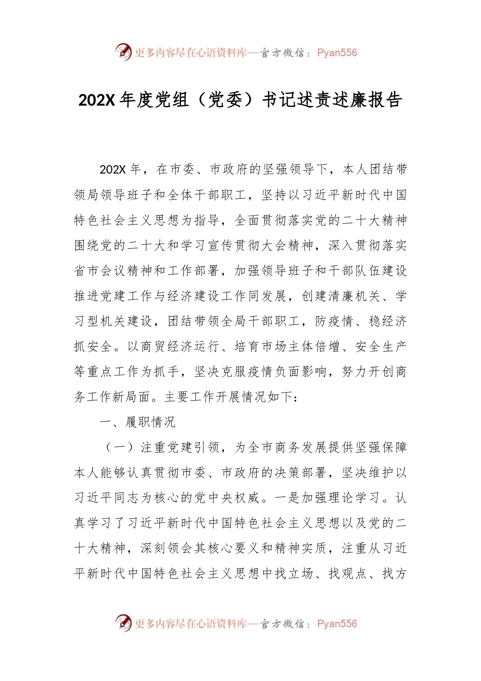 202X年度党组（党委）书记述责述廉报告.docx_第1页
