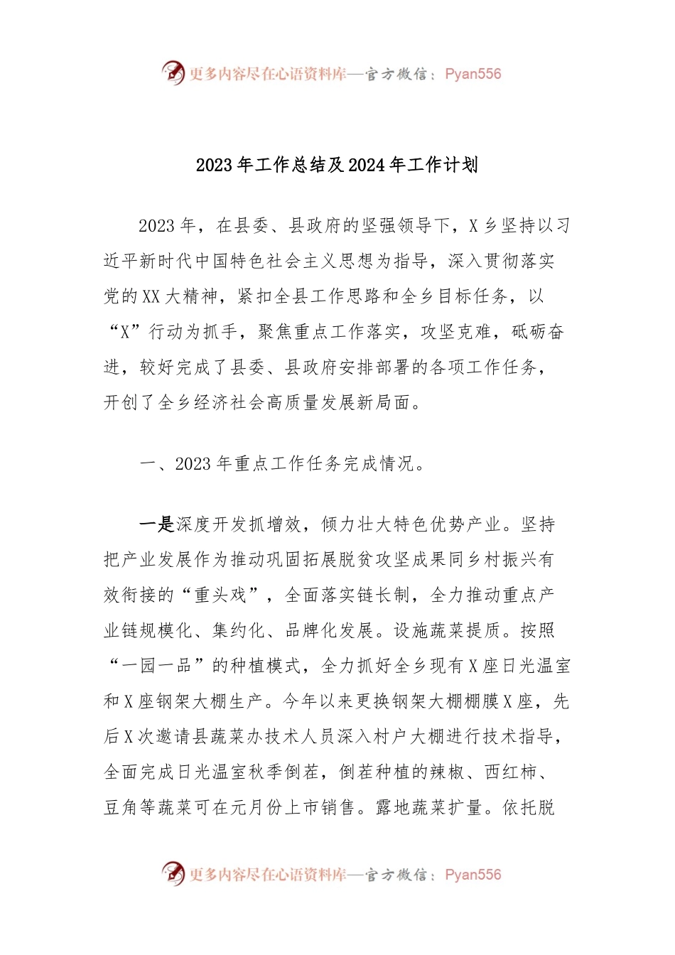 2023年工作总结及2024年工作计划 (2).docx_第1页