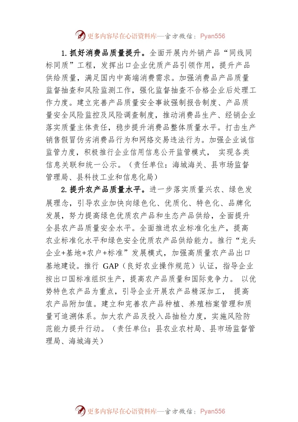 XX县质量提升行动工作要点（2022年－2023年）.docx_第2页
