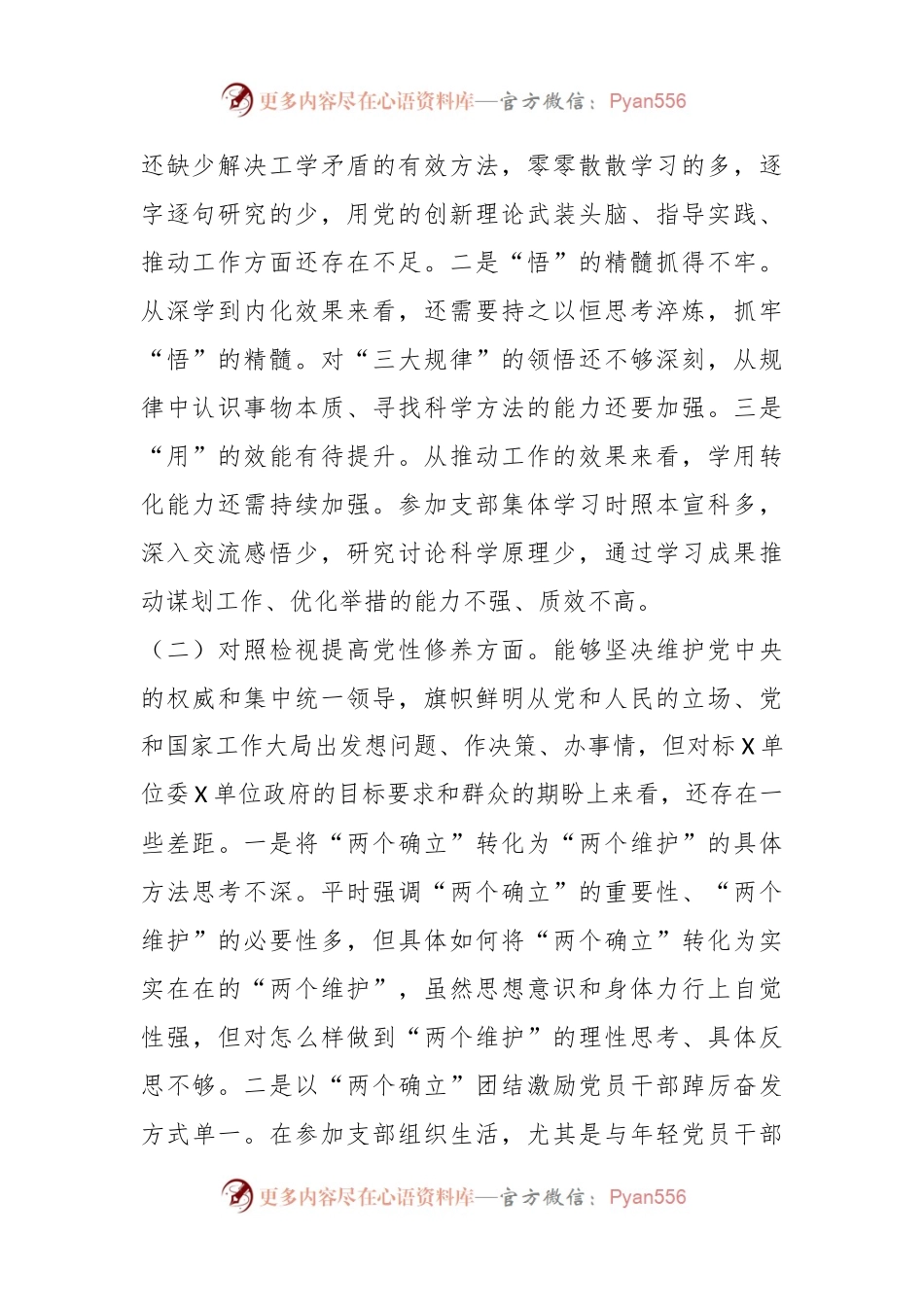 XX党支部2023年度组织生活会发言稿提纲.docx_第2页