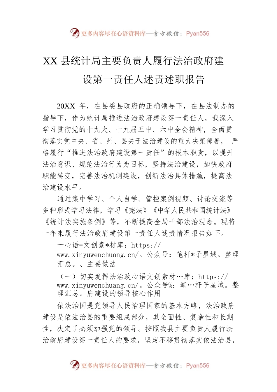 XX县统计局主要负责人履行法治政府建设第一责任人述责述职报告（20221111）.docx_第1页