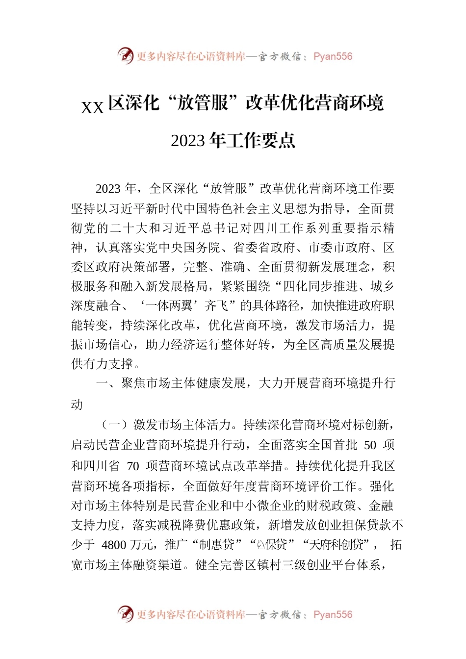 XX区深化“放管服”改革优化营商环境2023年工作要点(20230713).docx_第1页