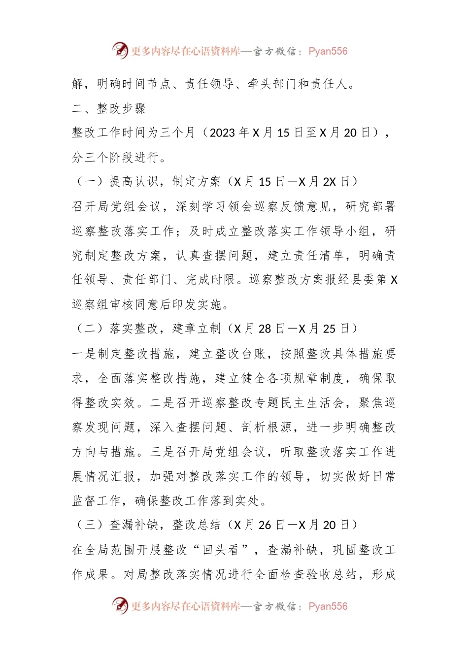 2023组关于落实县在巡察组反馈意见的整改方案.docx_第2页