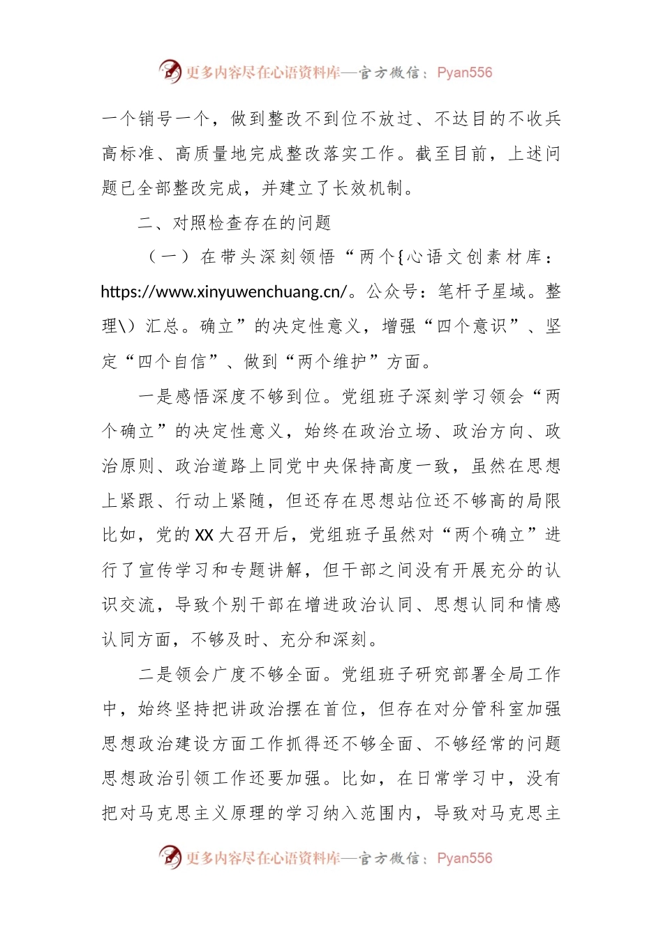 2023年民主生活会领导班子对照检查发言稿材料.docx_第2页