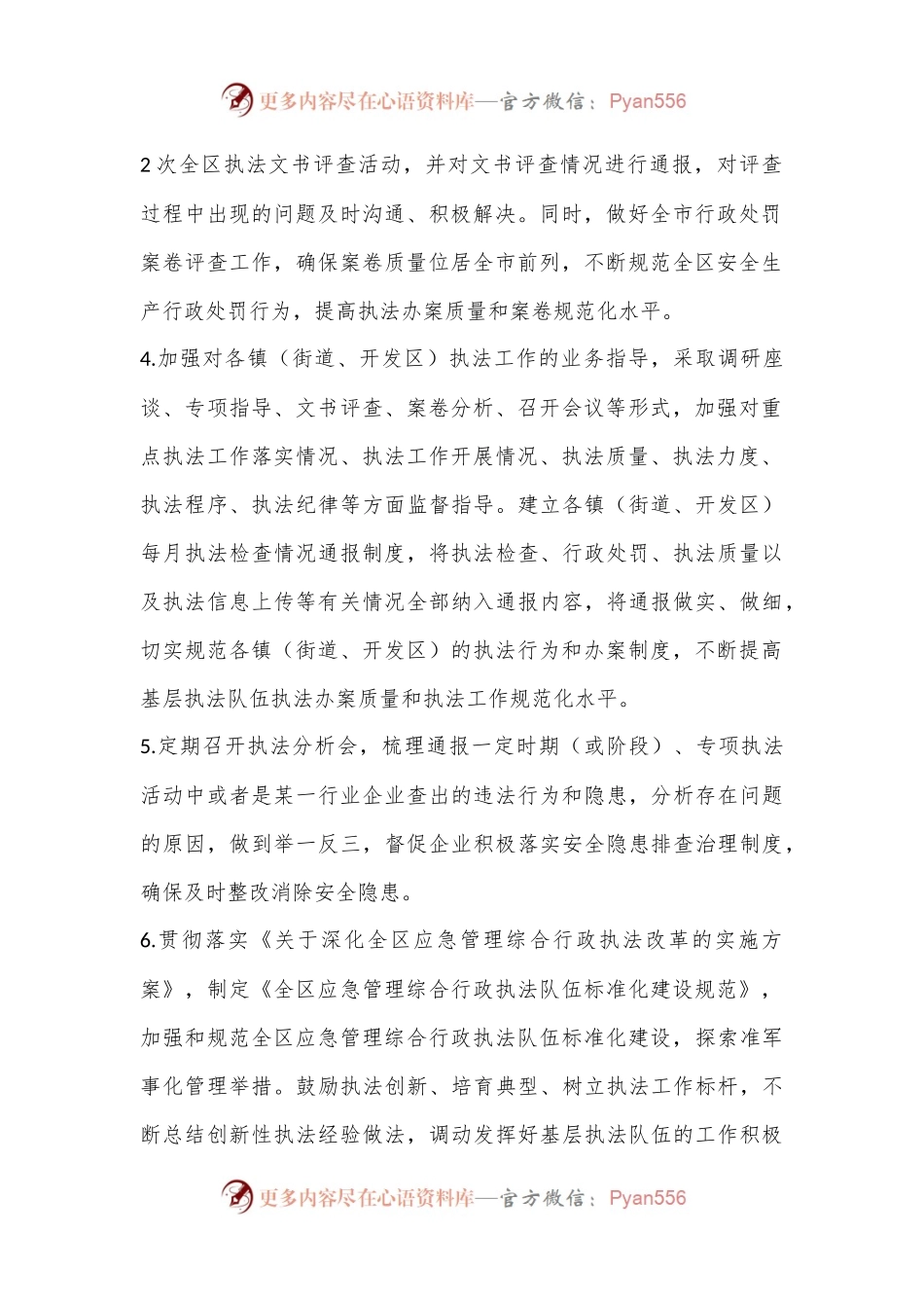 XX区应急管理综合行政执法大队2023年度工作要点.docx_第2页