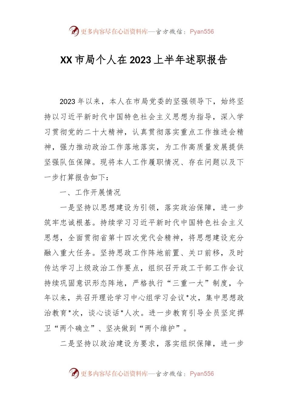 XX市局个人在2023上半年述职报告.docx_第1页