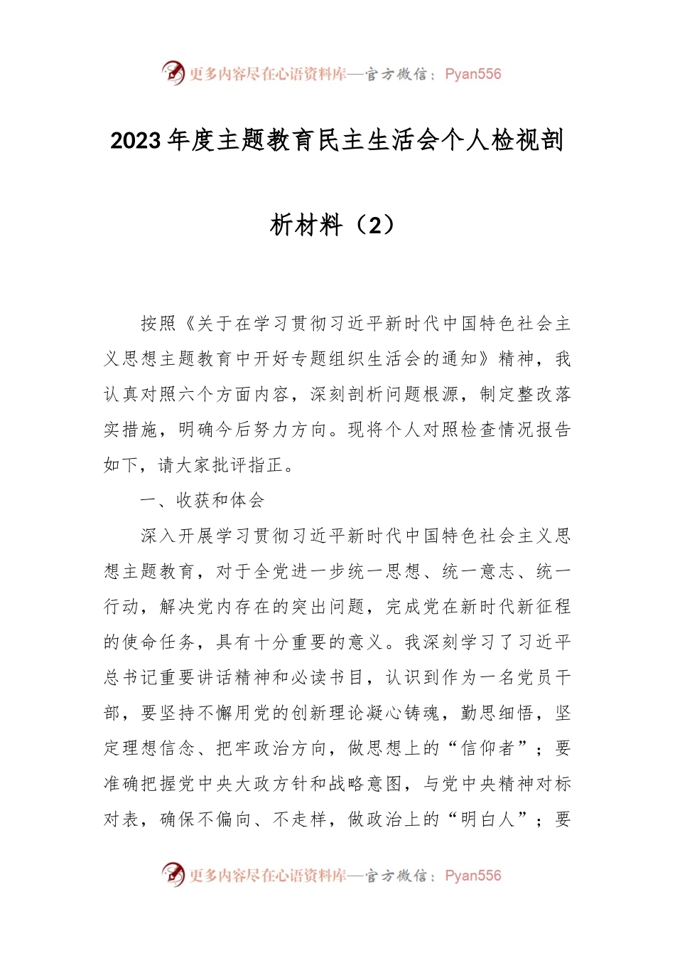 2023年度主题教育民主生活会个人检视剖析材料（2）.docx_第1页