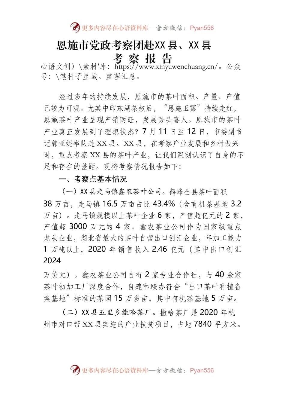 XX市党政考察团赴X县、X县考察报告.docx_第1页