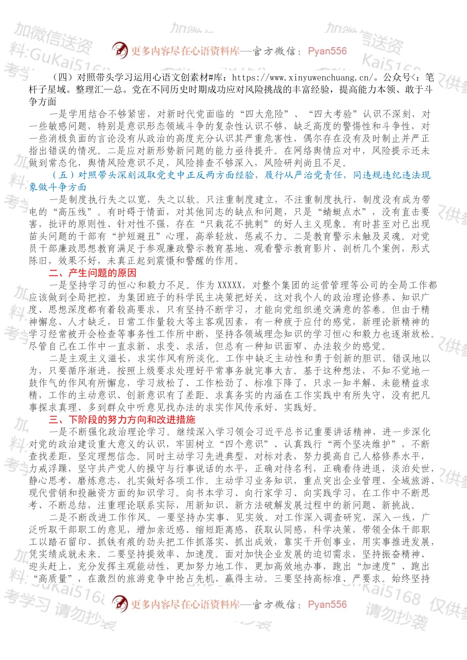 20XX年专题民主生活会剖析材料（国企党委委员、副总经理子公司集团董事长）.docx_第2页