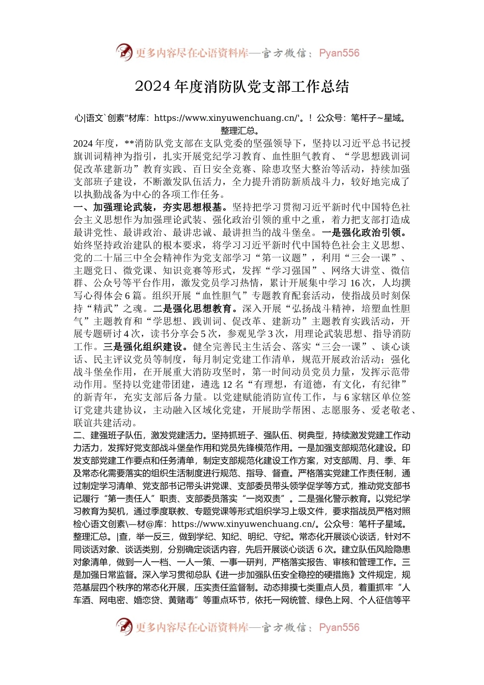 2024年度消防队党支部工作总结.docx_第1页