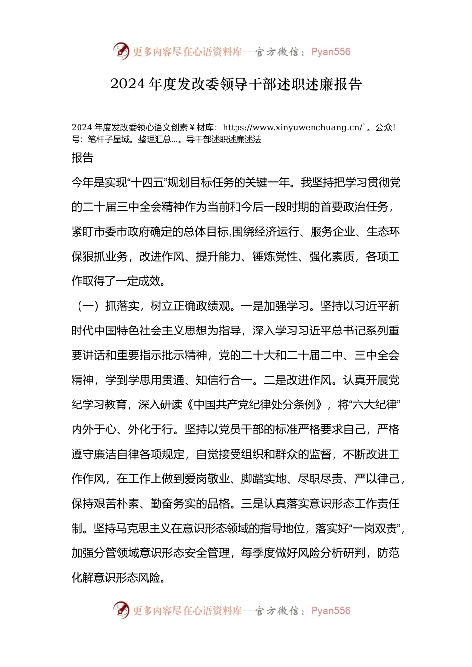 2024年度发改委领导干部述职述廉报告.docx_第1页
