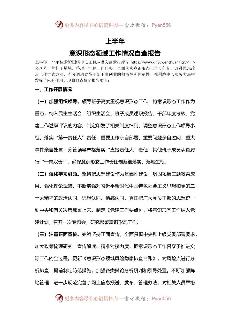 2024上半年意识形态领域工作情况自查报告模板(讲稿).docx_第1页