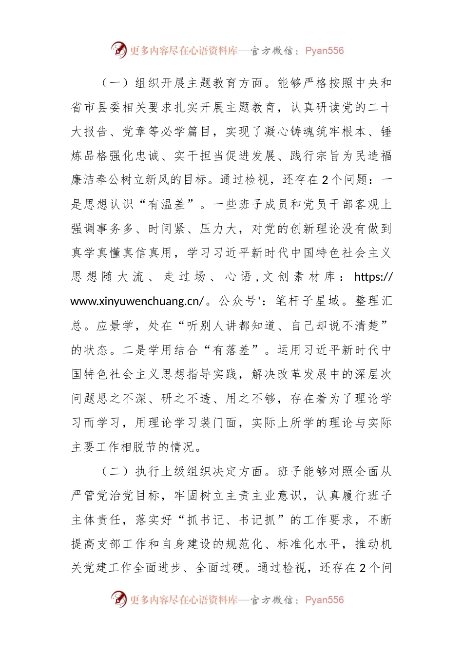 2023年度主题教育组织生活会支部班子发言稿提纲（开展主题教育+执行上级组织决定+组织生活+党员教育管理监督+服务群众+自身建设）.docx_第2页