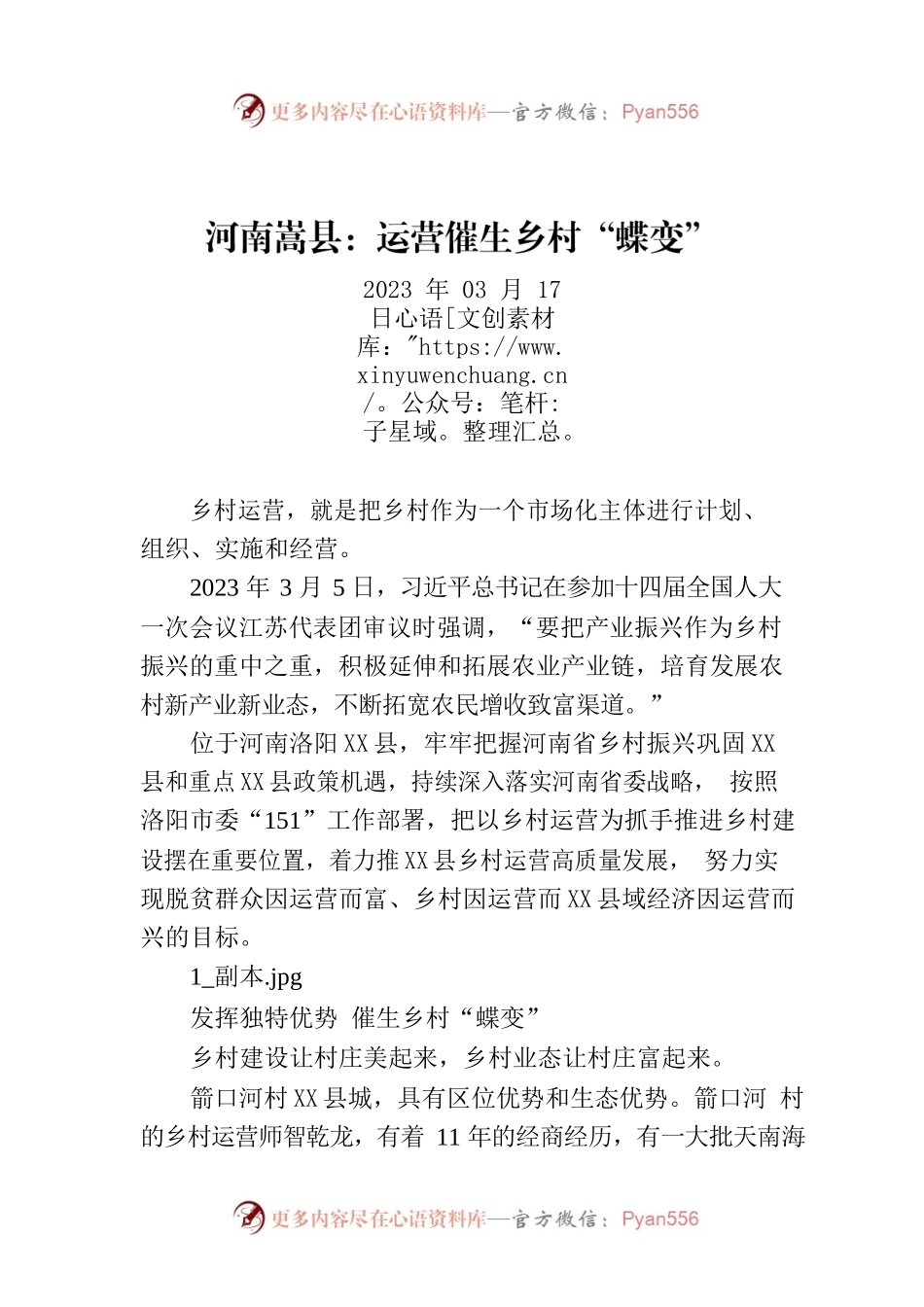 XX县：运营催生乡村“蝶变”.docx_第1页