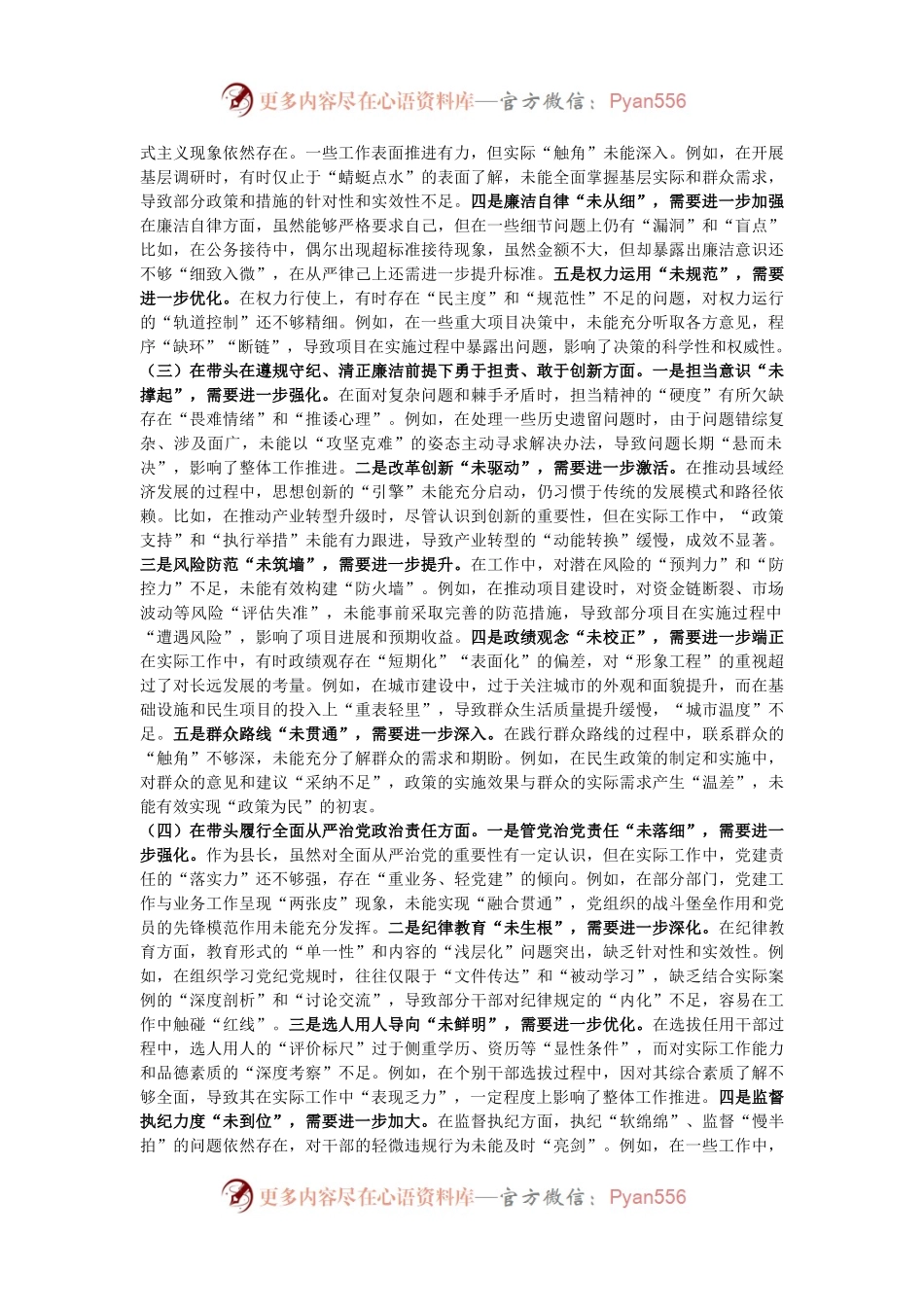 2024年度民主生活会个人对照检视发言材料.docx_第2页