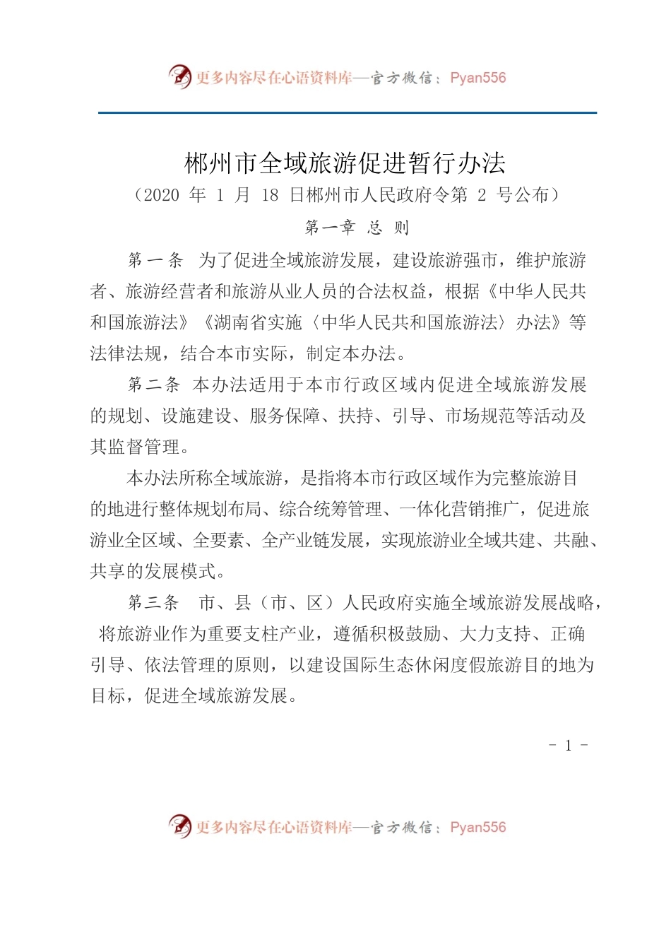 XX市全域旅游促进暂行办法.docx_第1页