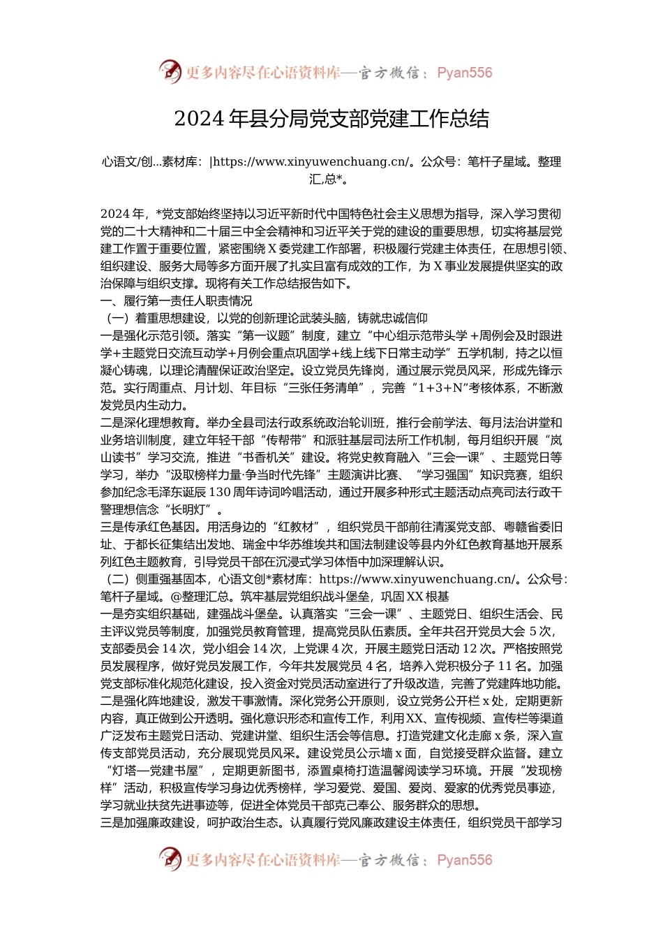 2024年县分局党支部党建工作总结.docx_第1页
