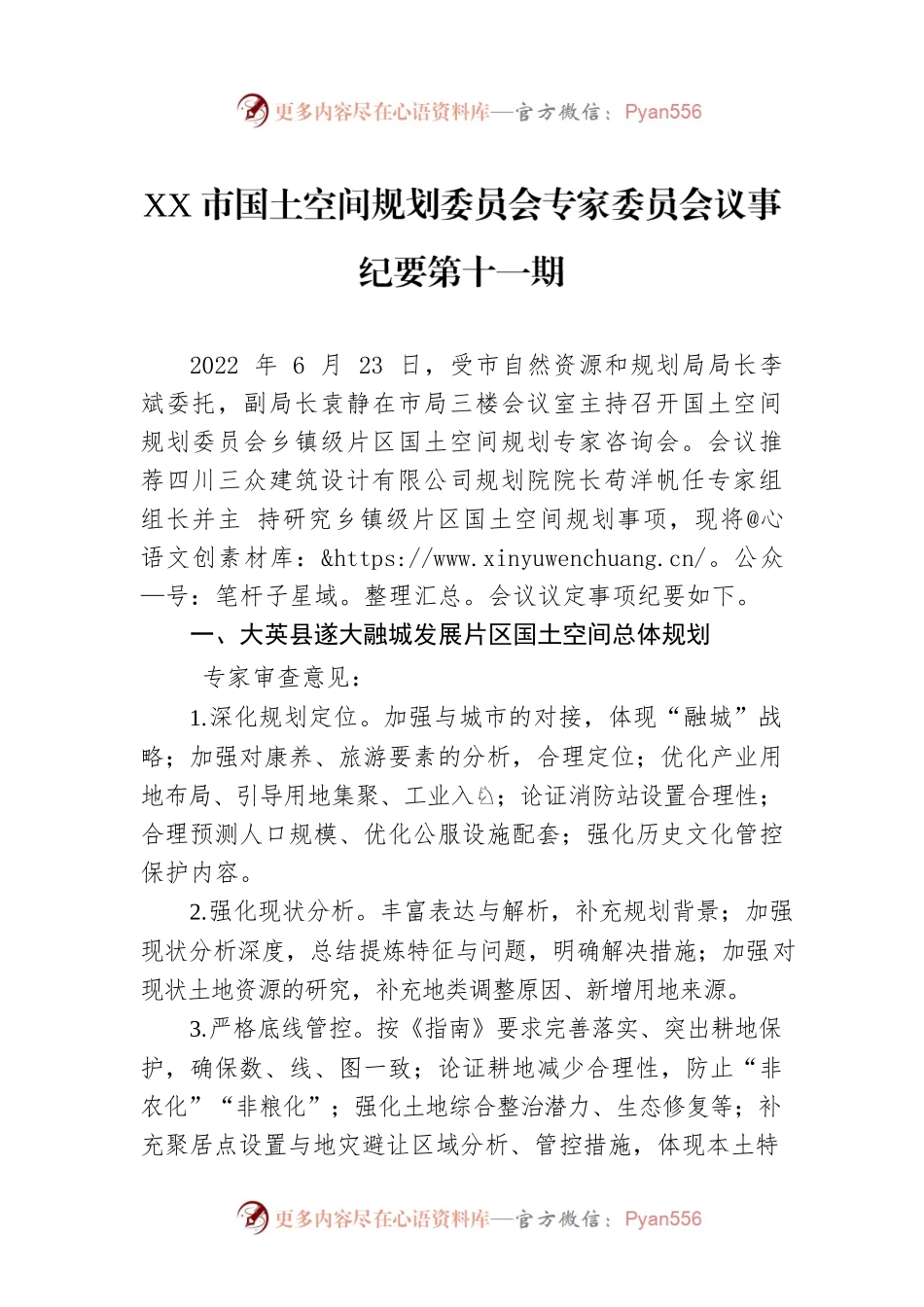 XX市国土空间规划委员会专家委员会议事纪要第十一期（20220623）.docx_第1页